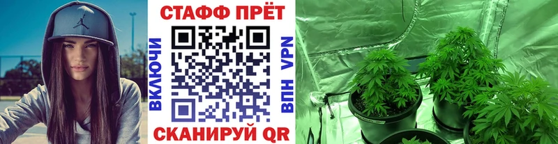 Виды наркотиков купить Невьянск Псилоцибиновые грибы МАРИХУАНА АМФЕТАМИН ГАШ МЕФ A-PVP