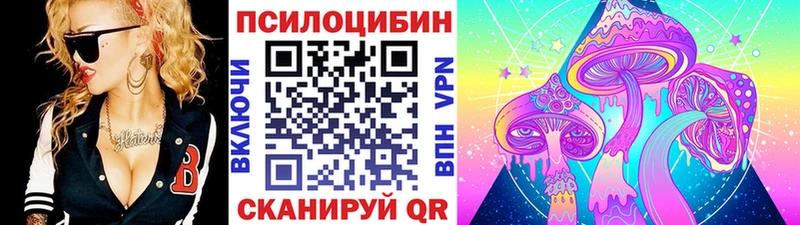 купить наркотики цена  Невьянск  Галлюциногенные грибы Psilocybine cubensis 